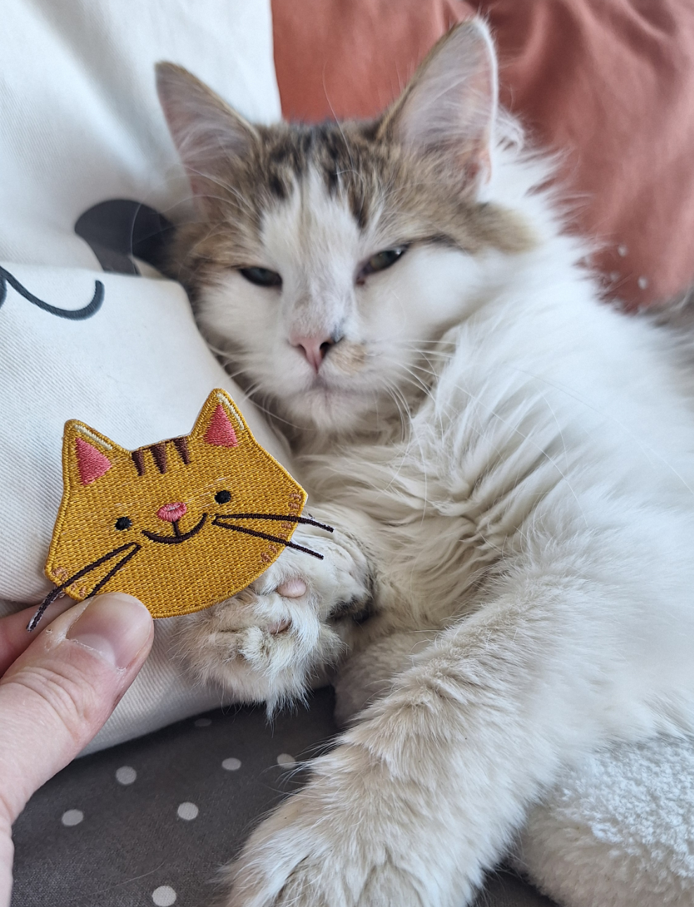 Kat patch